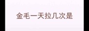 金毛一天拉几次是