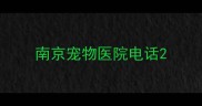 南京宠物医院电话