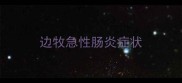 边牧急性肠炎症状