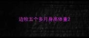 边牧五个多月身高体重