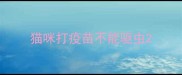 猫咪打疫苗不能驱虫