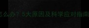 哈士奇呼吸急促怎么办5大原因及科学应对指南附急救措施