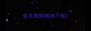 金毛狗狗精神不振