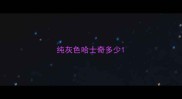 纯灰色哈士奇多少