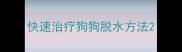 快速治疗狗狗脱水方法