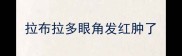 拉布拉多眼角发红肿了