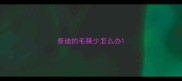泰迪的毛稀少怎么办
