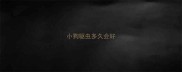 小狗驱虫多久会好