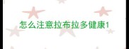 怎么注意拉布拉多健康