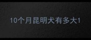 10个月昆明犬有多大