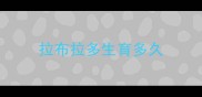 拉布拉多生育多久