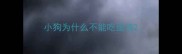 小狗为什么不能吃蛋清