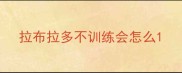 拉布拉多不训练会怎么