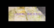 小狗屁眼红肿能自愈吗
