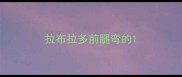拉布拉多前腿弯的