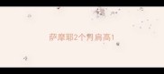 萨摩耶2个月肩高