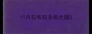 11月拉布拉多抱大腿
