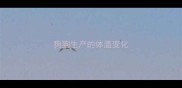 狗狗生产的体温变化