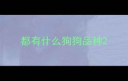 都有什么狗狗品种