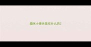 猫咪小便失禁吃什么药