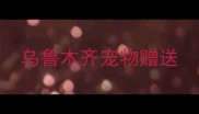乌鲁木齐宠物赠送