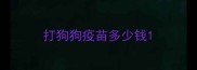 打狗狗疫苗多少钱