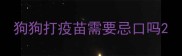 狗狗打疫苗需要忌口吗