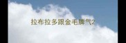 拉布拉多跟金毛脾气