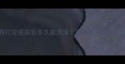 狗狗打完疫苗后多久能洗澡新手养狗必看全攻略