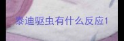 泰迪驱虫有什么反应