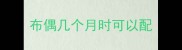布偶几个月时可以配