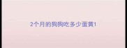 2个月的狗狗吃多少蛋黄