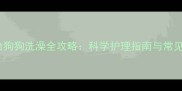 冬季给狗狗洗澡全攻略科学护理指南与常见误区