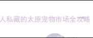 太原人必看本地人私藏的太原宠物市场全攻略附交通避坑指南