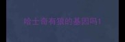 哈士奇有狼的基因吗