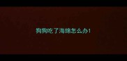 狗狗吃了海绵怎么办