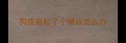 狗疫苗起了个硬块怎么办