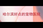 哈尔滨好点的宠物医院
