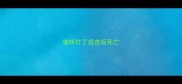 猫咪打了疫苗后死亡