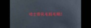 哈士奇乳毛脱毛期
