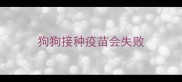 狗狗接种疫苗会失败