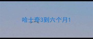 哈士奇3到六个月
