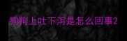 狗狗上吐下泻是怎么回事