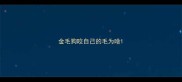 金毛狗咬自己的毛为啥