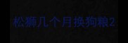 松狮几个月换狗粮