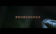 维希拉猎犬和拉布拉多
