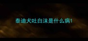 泰迪犬吐白沫是什么病