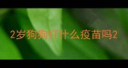 2岁狗狗打什么疫苗吗