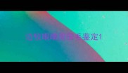 边牧眼睛周围毛鉴定