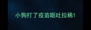 小狗打了疫苗呕吐拉稀